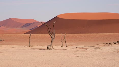 establishing shot of namib naukluft national park in the namib desert and massive sand dunes dawn namibia 1