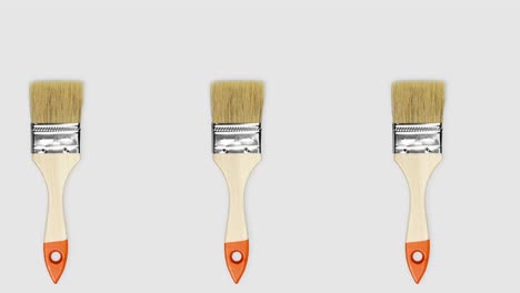 paint brush close-up against a white background, seamless looping animation