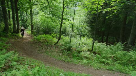 A-mountain-biker-rides-through-a-forest-covered-in-ferns-in-slow-motion