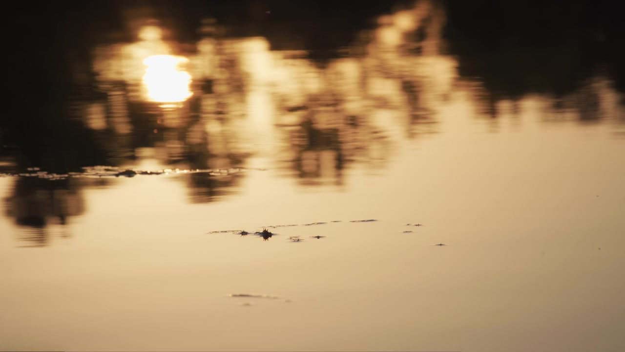 Sun reflecting in the lake water at dusk