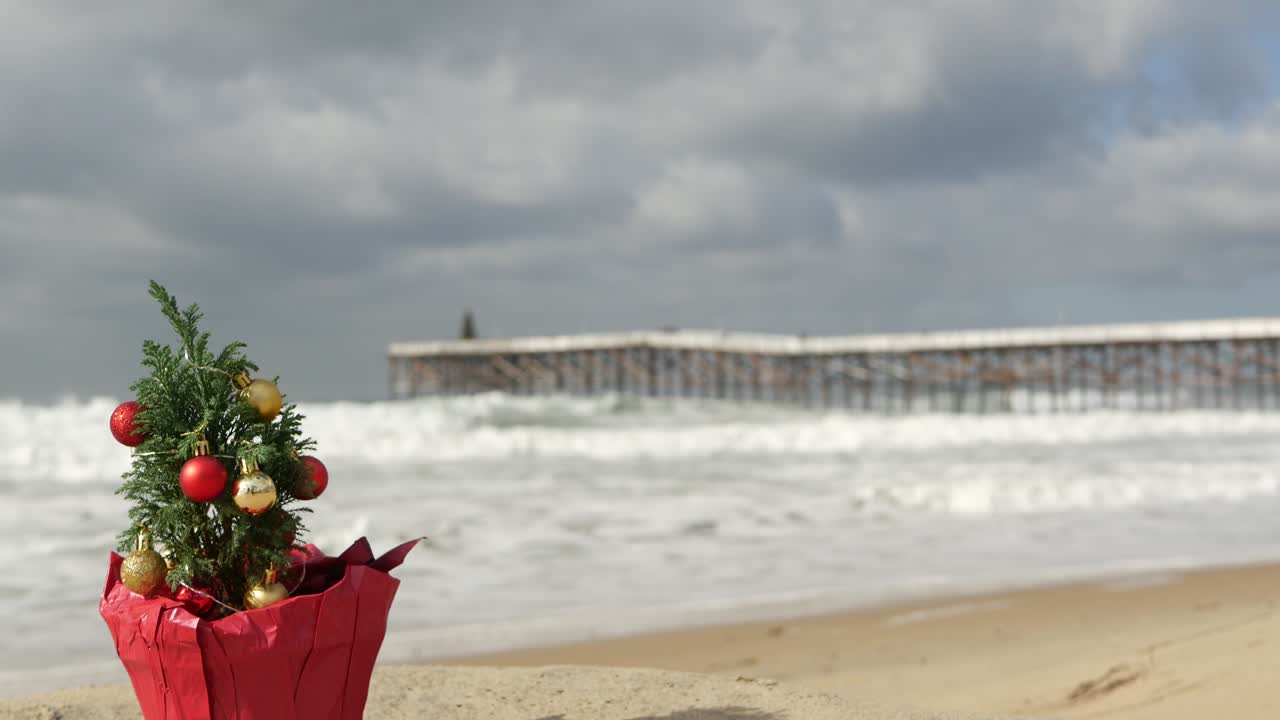 Árvore de Natal em praia de areia, Ano Novo na costa do oceano, Natal na Califórnia