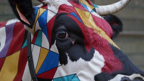 painted cow face