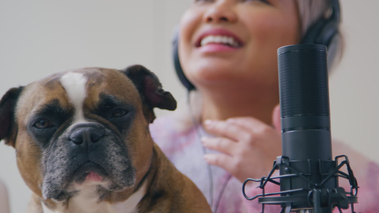 primer plano de una mujer con un bulldog francés de mascota grabando podcast en vivo en el estudio en casa