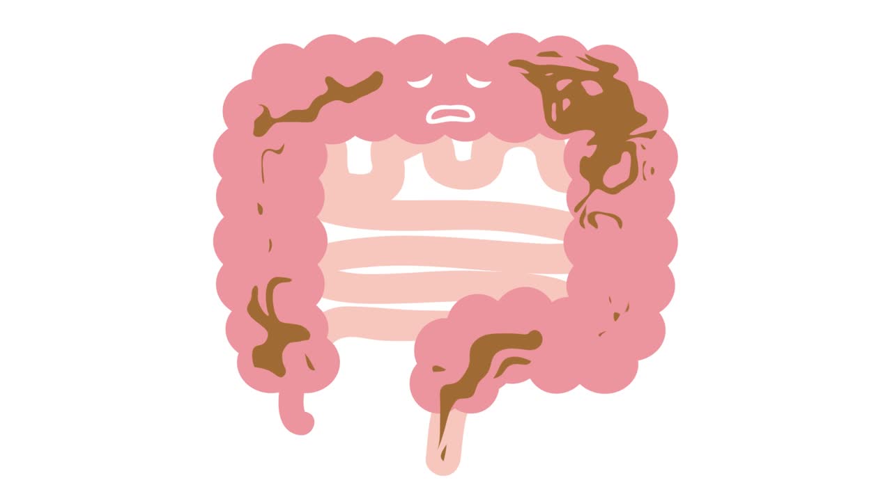 アニメーション化された腸道 (下痢) ビデオです.ループ可能です.