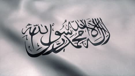 flag of taliban waving in wind. realistic flag background