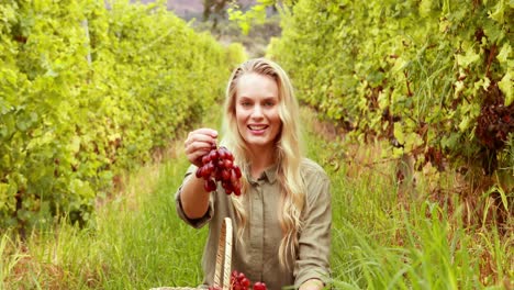 Blonde-winegrower-handing-a-red-grape