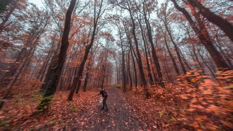 Herbst-Im-Hvezda-Park