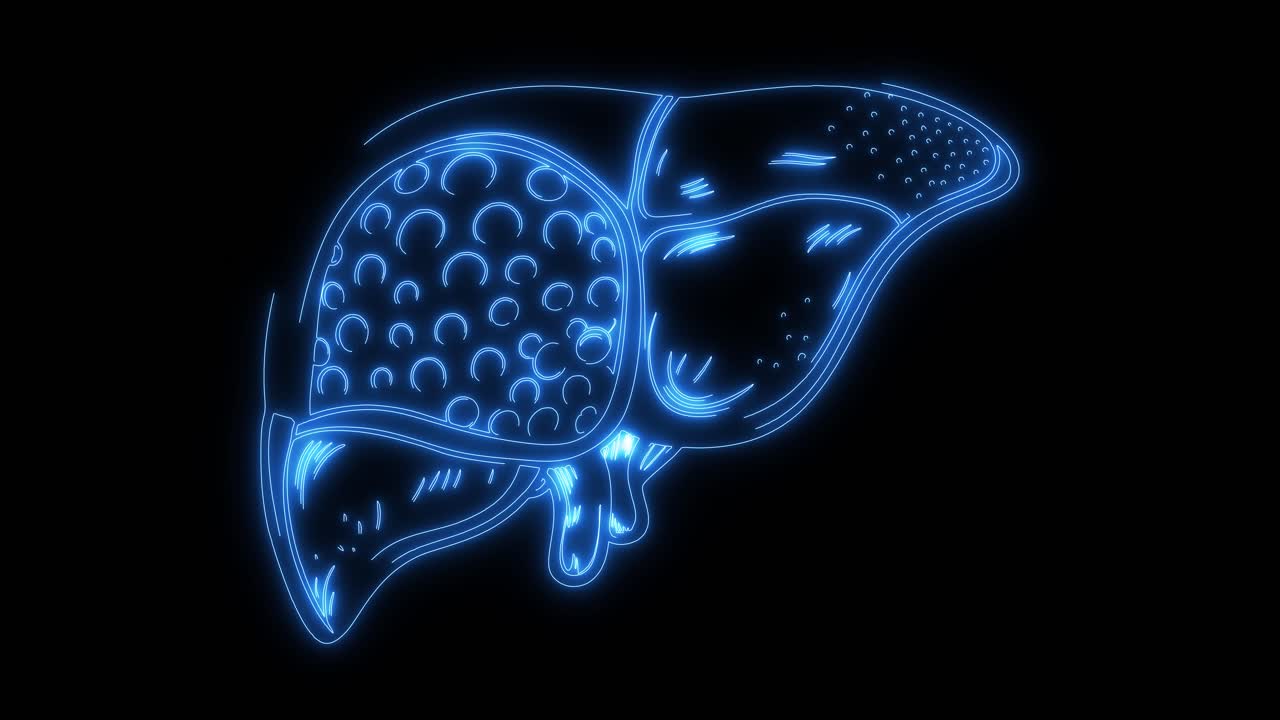 Animated Neon Blue Outline of Human Liver
