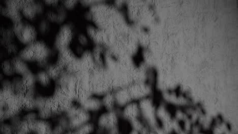 shadow of tree branches on textured black plaster wall with natural sunlight. abstract nature-inspired background. design for wallpaper, banner, postcard, greeting card, poster. vertical