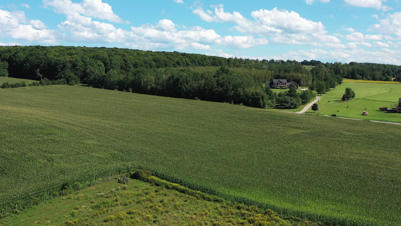 серая "субару" въезжает в густой лес адирондаков в нью-йорке.