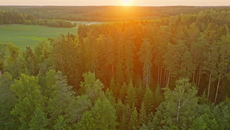 Aerial-ascending-shot-of-a-colorful-sunrise-above-Nordic-woodlands-and-fields