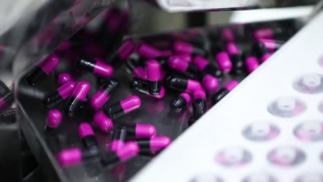 automatic capsule filling machine. capsule medicines production video. automatic blister packing machine for capsule.