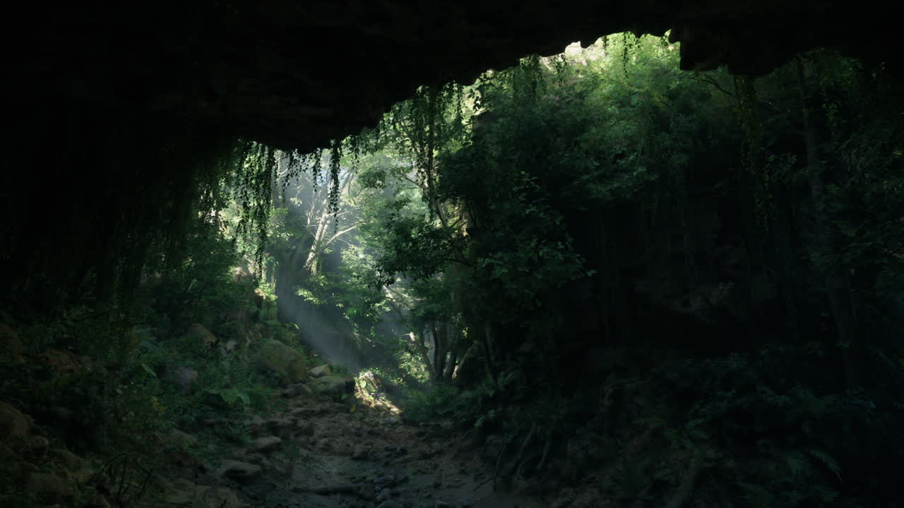 una entrada oscura de la cueva que conduce a un exuberante bosque tropical.
