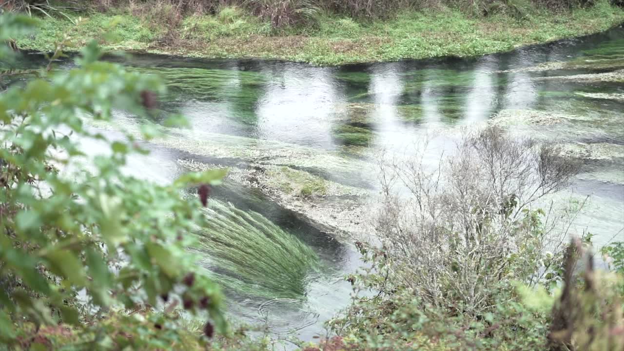 Scenic River Landscape