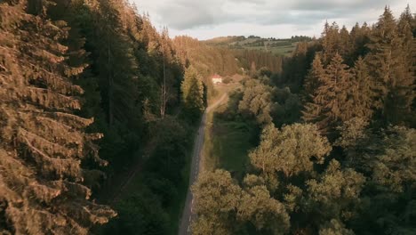 Dynamische-Luftaufnahme-Eines-Radweges-Inmitten-Eines-Fichtenwaldes