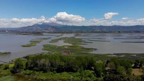 laguna de kune con agua salada rodeada de exuberante vegetación, hábitat natural de peces y aves en la costa adriática