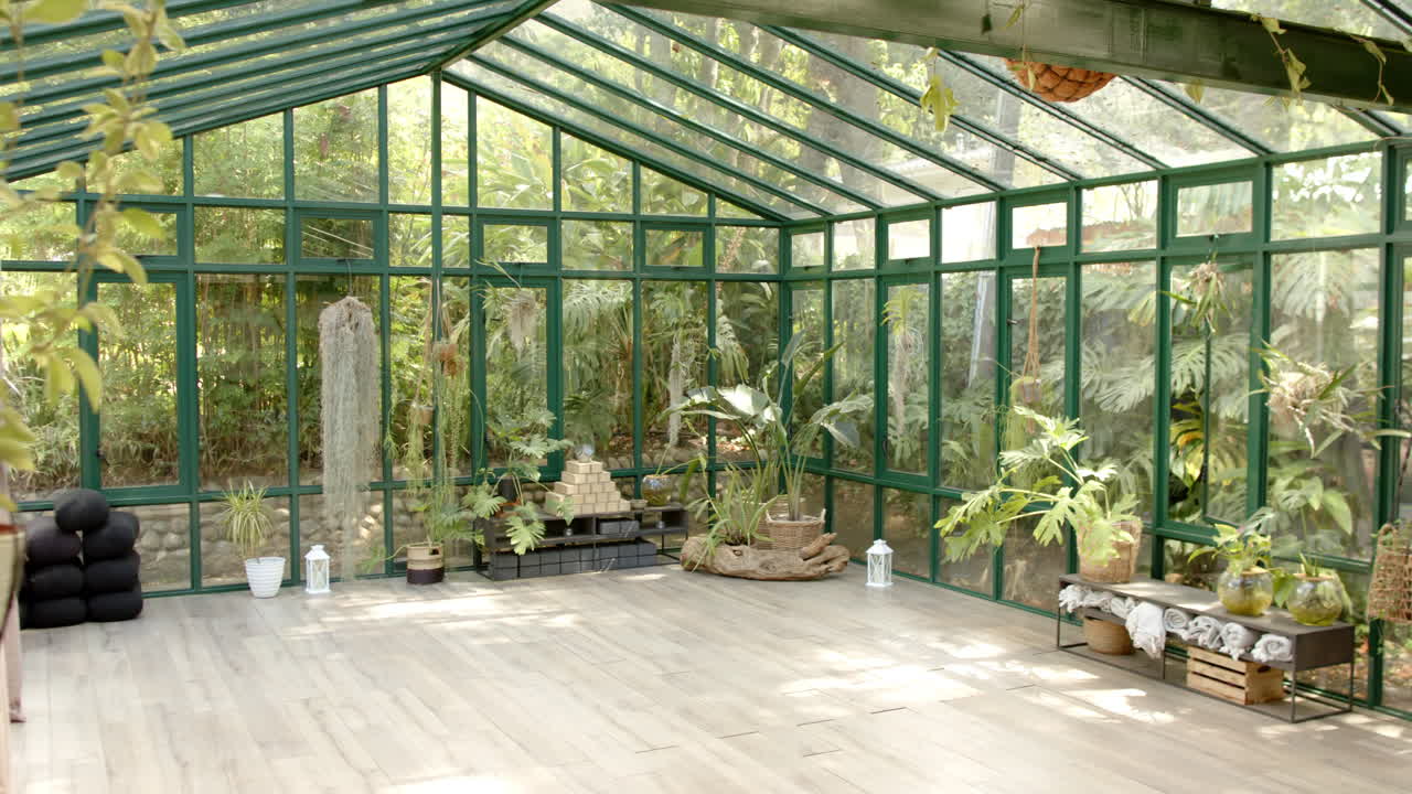 Empty glass house with plants, ready for yoga practice and meditation, copy space