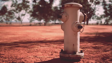 viejo hidrante de fuego oxidado en el desierto