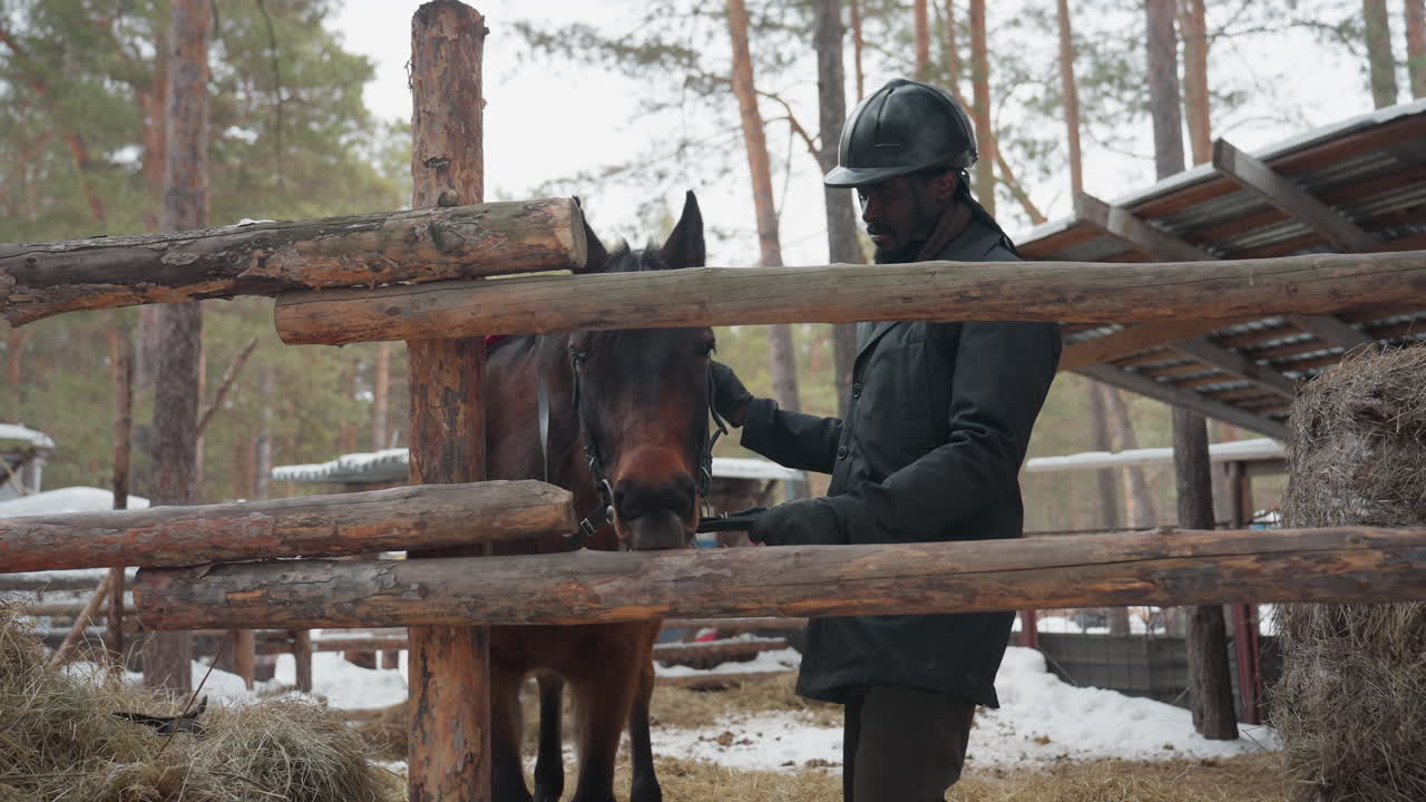 hombre negro tranquilizando a un caballo en una valla, con un suave contacto de hocico y una interacción tranquila en un cercado nevado, cuidador con casco calmando al animal con movimientos lentos entre pinos y heno apilado