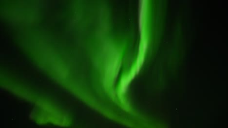 primer plano de protones verdes flotantes que iluminan las luces del norte contra el cielo oscuro