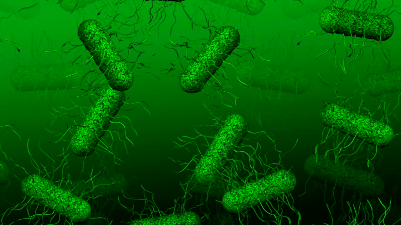 las bacterias verdes se mueven.