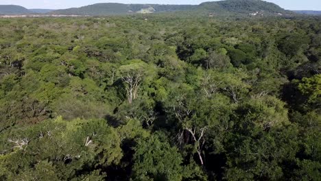 twisting aerial orbit above lush green forest and river reveals mountainous region