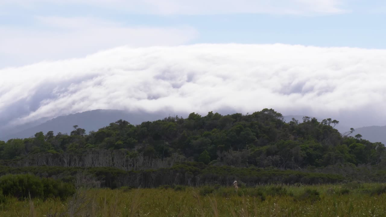 un lapso de tiempo de nubes en rápido movimiento rodando hacia abajo y sobre las montañas en el promontorio de wilson en australia