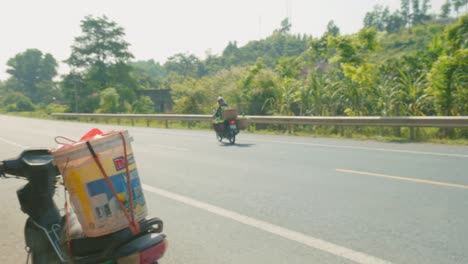 Shot-of-a-farmer-transporting-ripe-sugar-apple-fruit-to-the-market-in-Chi-Lang-district,-Lang-Son-province,-Vietnam-at-daytime