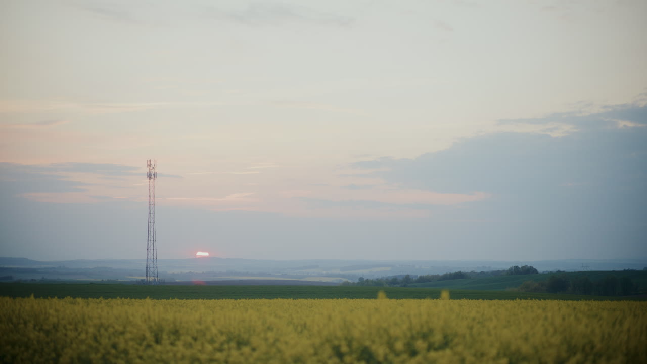 Timelapse of Scenic Sunset Over Blooming Rapeseed Field