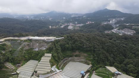 general landscape view of the brinchang district within the cameron highlands area of malaysia