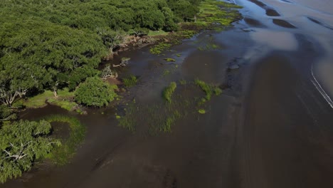 Aerial-of-green-nature-and-sand-banks-by-Rio-de-La-Plata,-slow-tilt-up