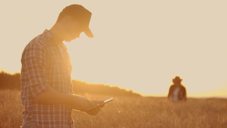 Dos-Agricultores,-Un-Hombre-Y-Una-Mujer-En-Un-Campo-De-Trigo-Con-Una-Tableta,-Trabajan-Y-Analizan-El-éxito-De-La-Cosecha-Tocando-Los-Brotes-Con-Las-Manos.-Planificación-De-Cosecha