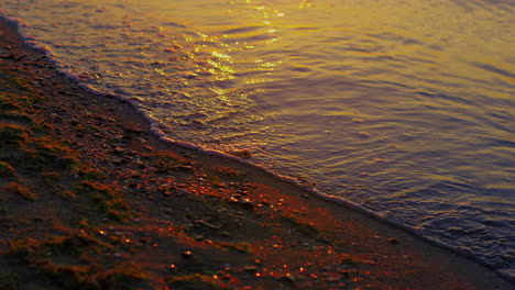 closeup lake waves splashing sand coast shore in morning sunrise dawn. sea water