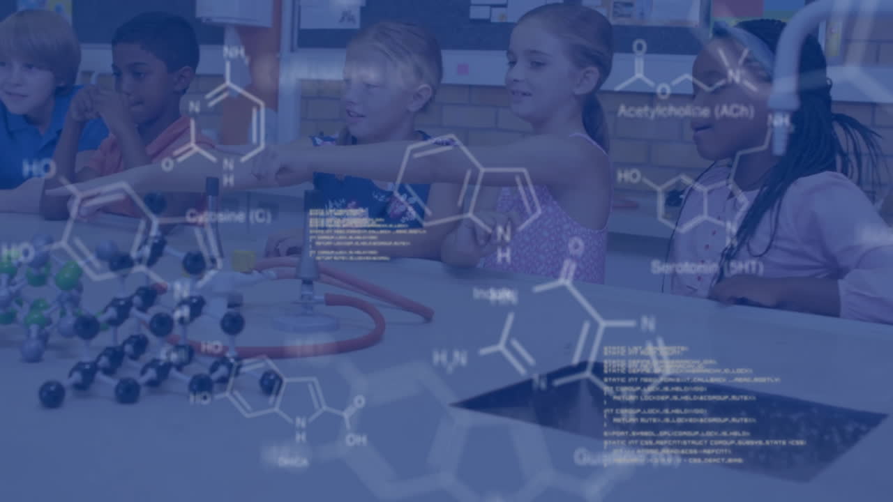 실험실에서 다양한 학교 학생을 대상으로 과학 데이터 처리의 애니메이션