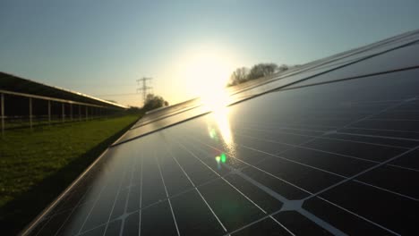 solar farm sunset reflecting on solar panels generating electricity, summer evening
