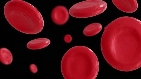 animation of micro of red blood cells on black background