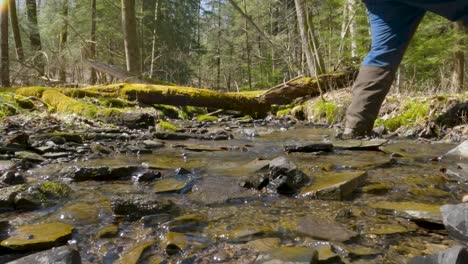 hiker crossing flowing stream in the woods