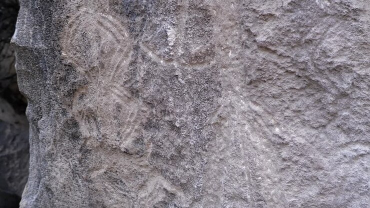 Tilt: Klippekunstmotiver og dyrepetroglyffer i Gobustan, Aserbajdsjan