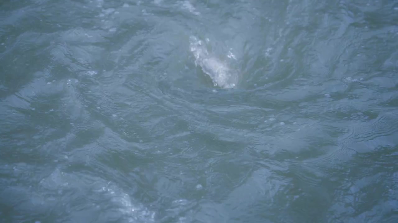 Acqua di fiume che vortica creando un mulinello