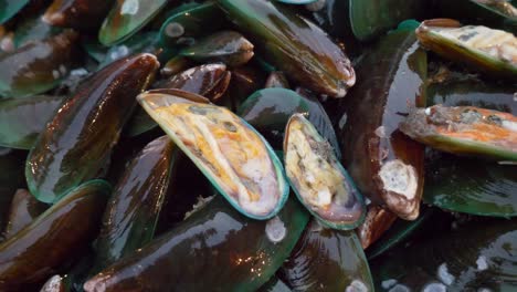 mejillones verdes vivos, mariscos, almejas en el mercado de comida callejera