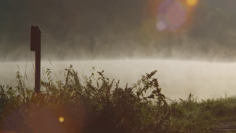 La-Niebla-Que-Se-Evapora-Del-Río-En-Calma,-Durante-Los-Primeros-Rayos-Del-Sol.