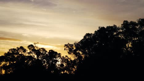 Wolken-Und-Bäume-In-Silhouetten,-Die-Sich-Im-Sonnenuntergang-Mit-Dem-Wind-Bewegen---Ekstatisches-Festival-Im-Hare-Krishna-Valley,-Australien---Zeitraffer