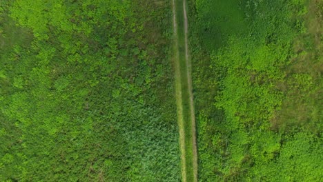 Ländliche-Sommerlandschaft-Mit-Straße-Und-Bauernhof