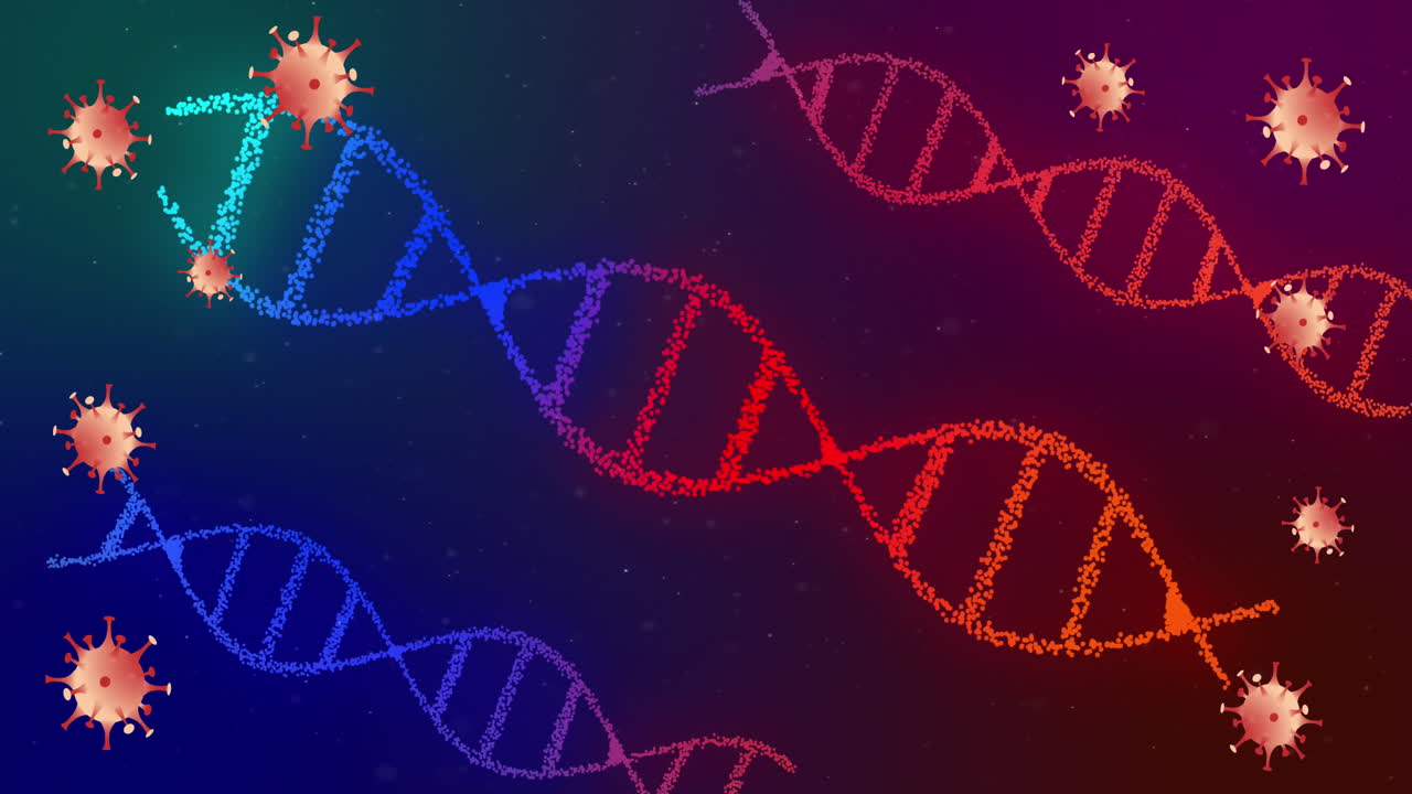 animación de células de covid 19 que se mueven y cadenas de adn que giran