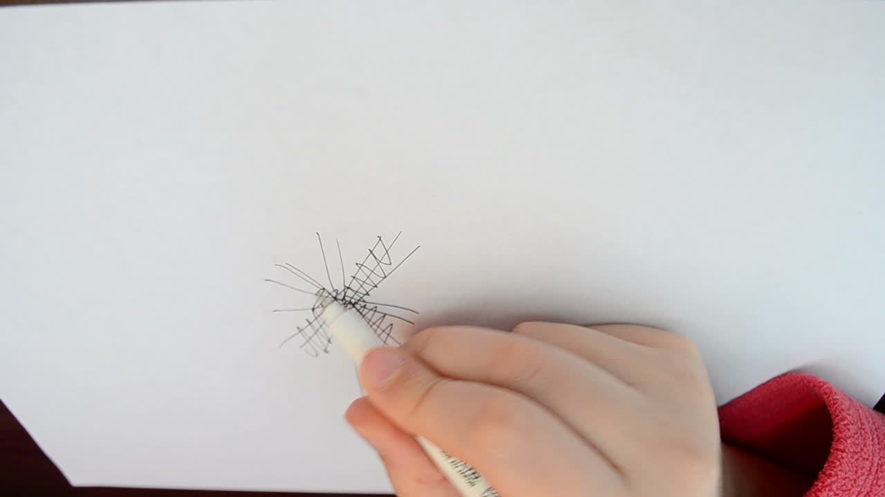Desenhamos uma flor. O esboço no papel.