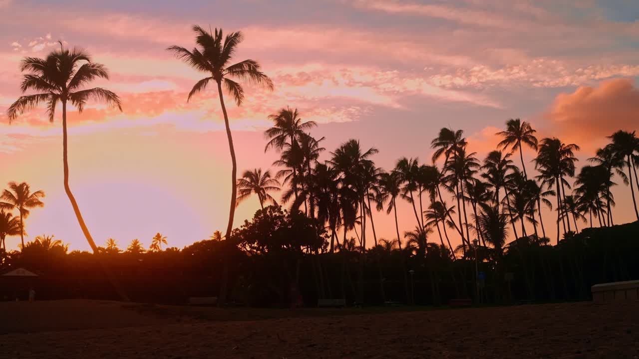 4k timelapse of hawaiian sunset and palm trees. Orange glow and clouds passing by