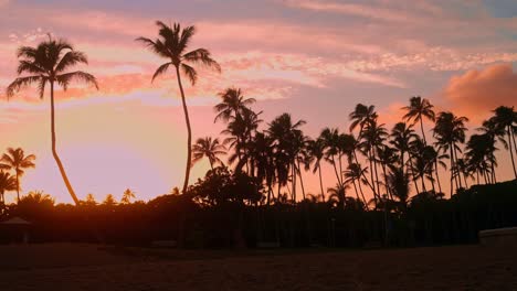 4k timelapse of hawaiian sunset and palm trees. orange glow and clouds passing by