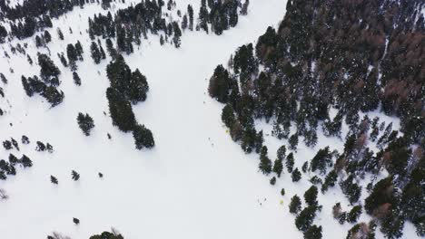 Beautiful-aerial-drone-shot-of-winter-landscape-with-snow-and-green-pine-and-fir-trees-during-cold-day-in-Italy