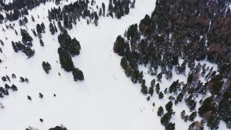 Schöne-Luftdrohnenaufnahme-Der-Winterlandschaft-Mit-Schnee-Und-Grünen-Kiefern--Und-Tannenbäumen-Während-Des-Kalten-Tages-In-Italien