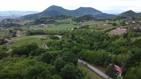 scenic aerial over vineyard mountain landscape in the euganei mountains in italy